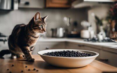 Can Cats Eat Black Beans